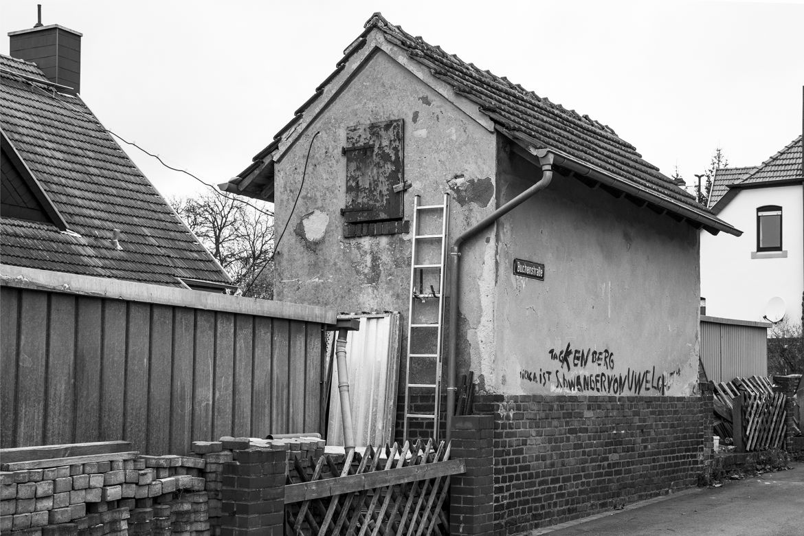 _DSC0554