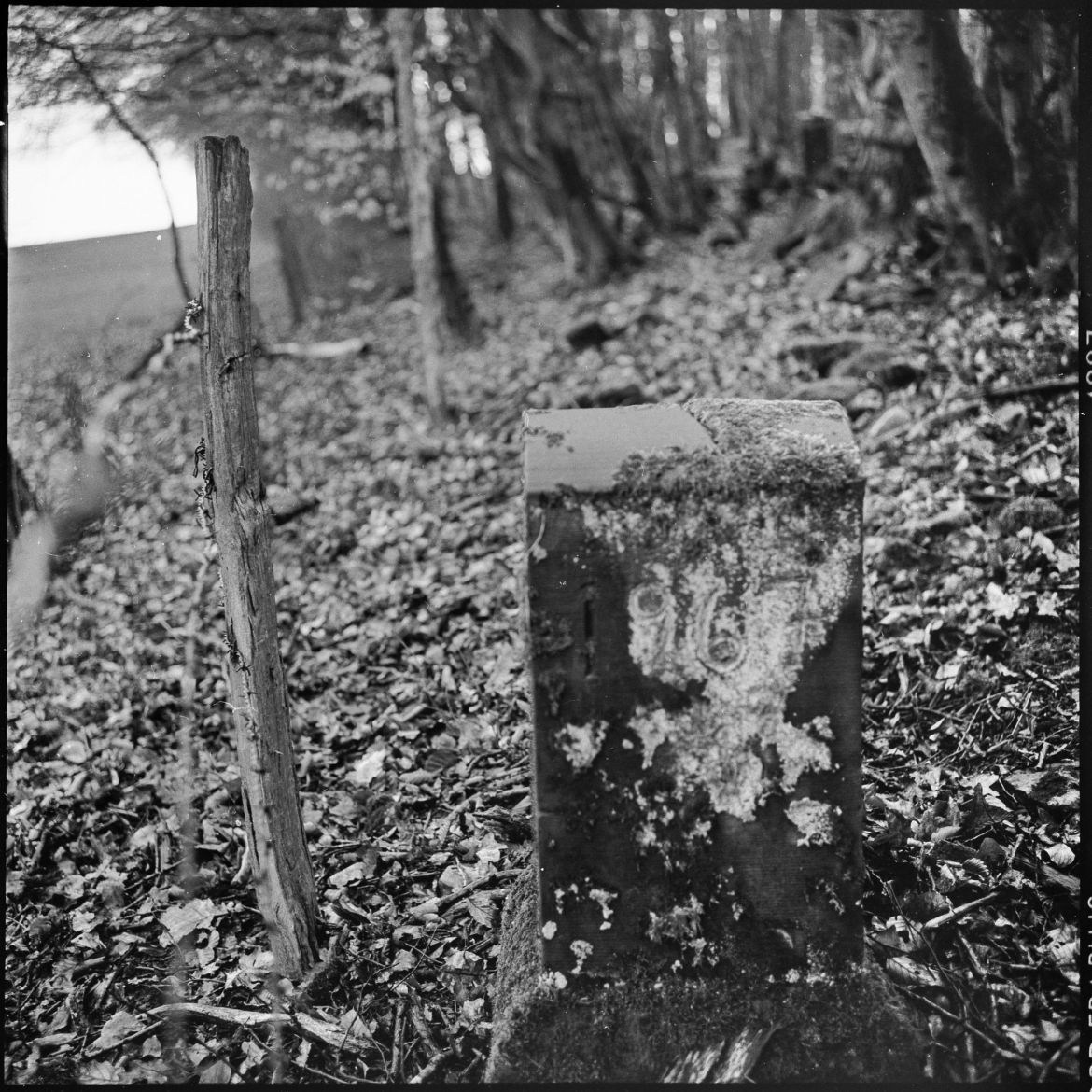 08 Grenzgänge-025