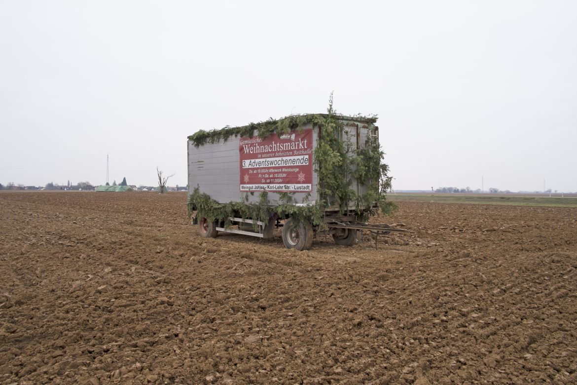 114 Nahe der B 272 nördlich von Lustadt