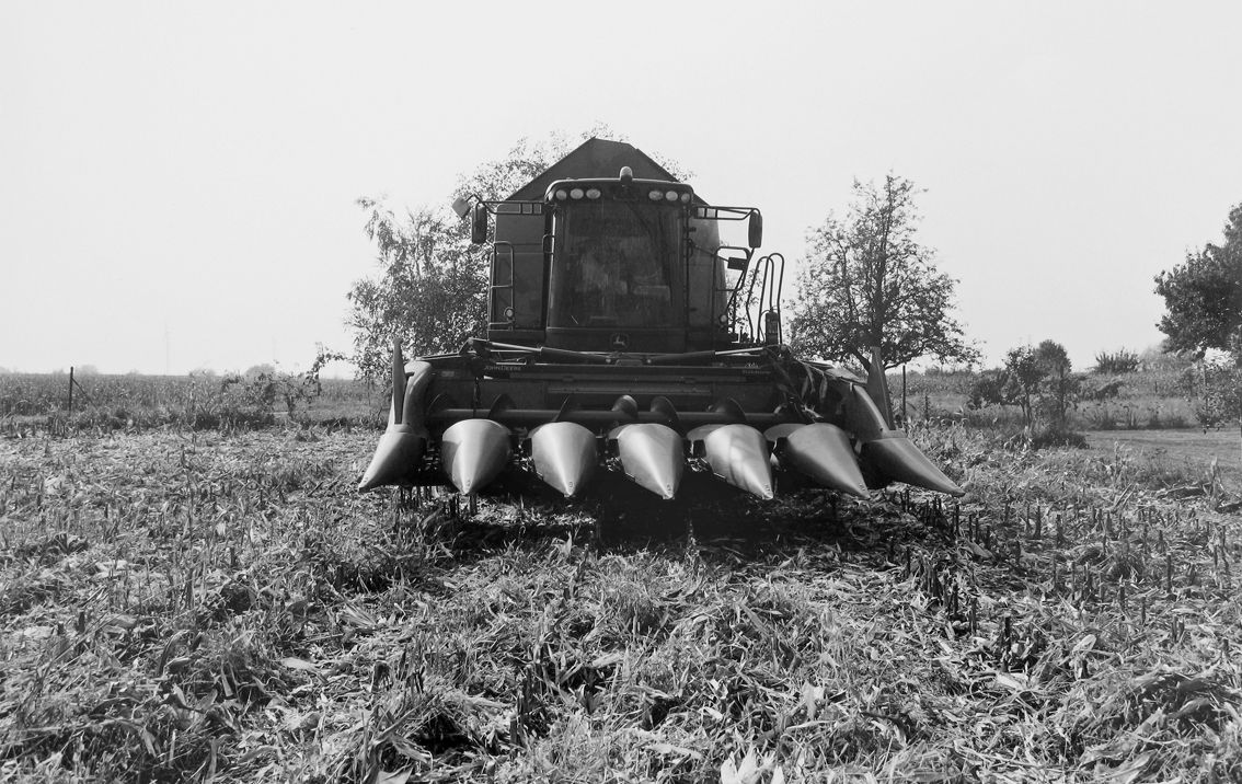 Agrarland Vorderpfalz 89