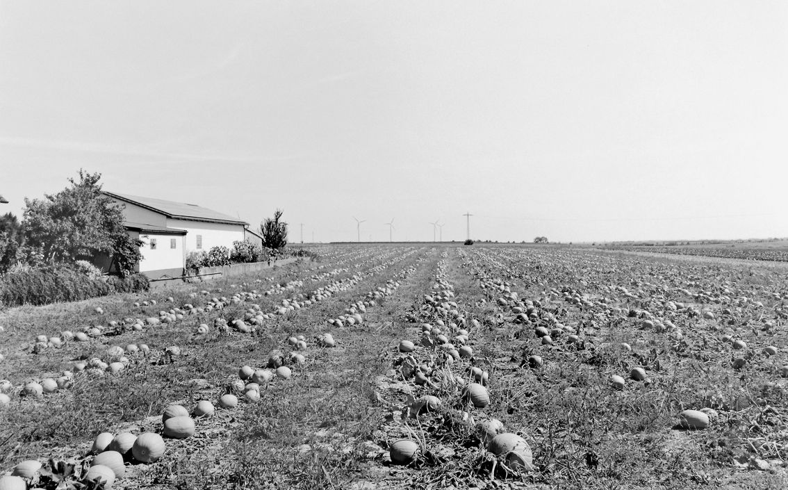 Agrarland Vorderpfalz 86