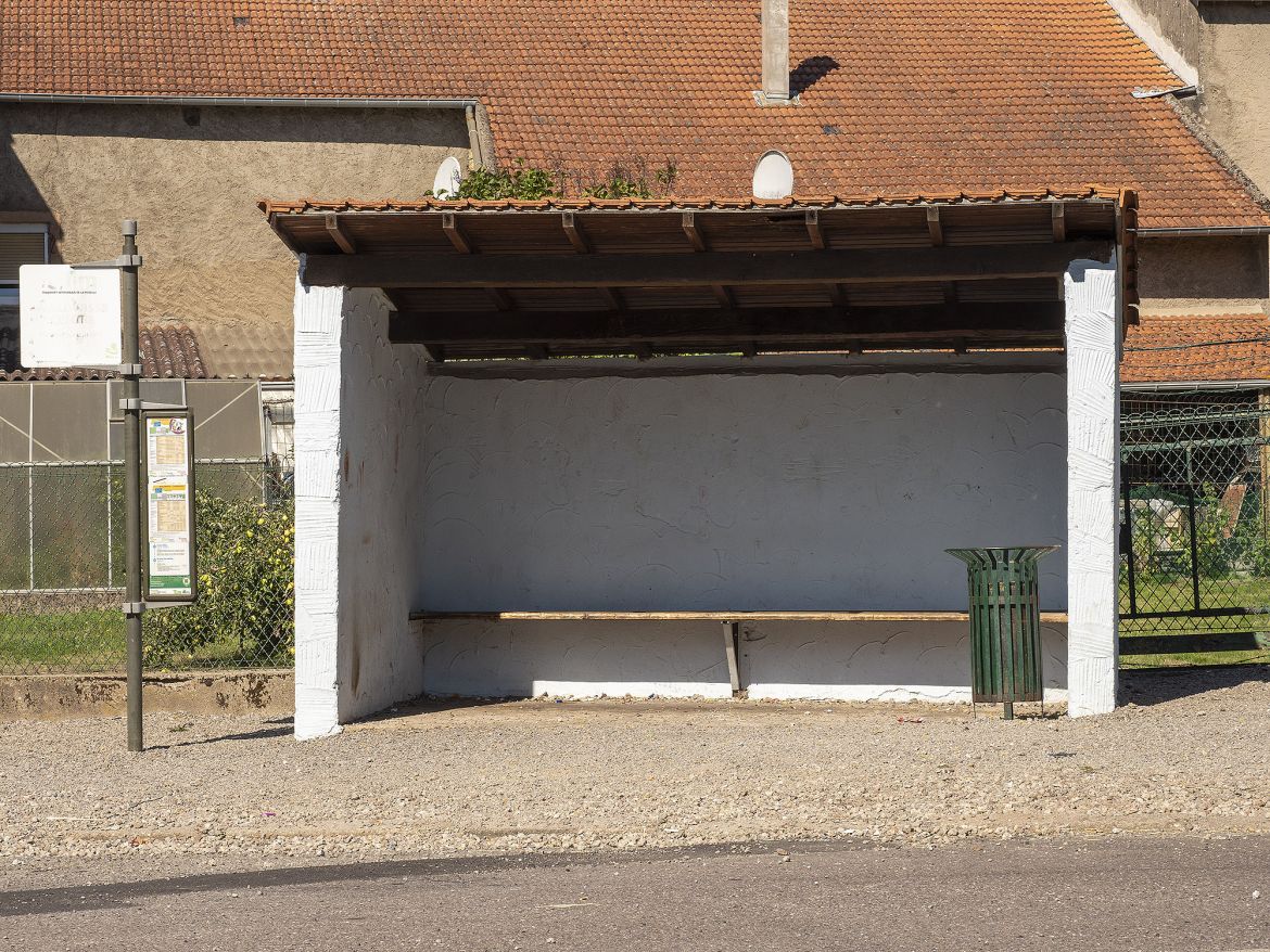 Bild 35 Waldwisse