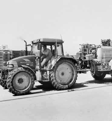 Palatinat antérieure, pays agricole