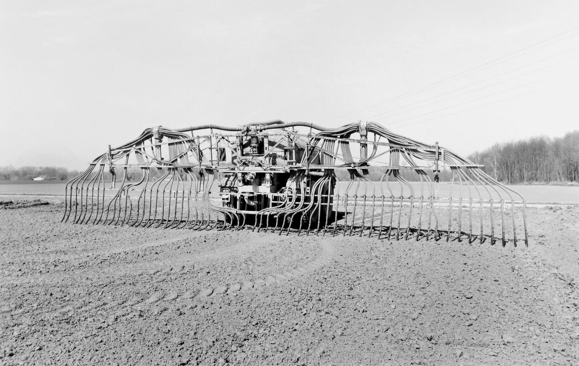 Agrarland Vorderpfalz 13